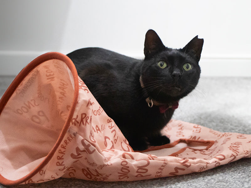 Battersea Peek-A-Boo Sack for Cats