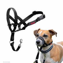 Halti Dog Headcollar - Black