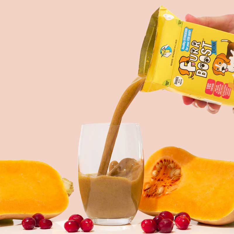 Furr Boost Hydration Drink for Dogs - Chicken, Butternut Squash & Cranberry