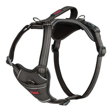 Halti Anatomy Dog Harness - Grey