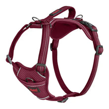 Halti Anatomy Dog Harness - Magenta