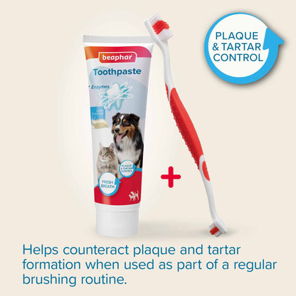 Beaphar Toothbrush & Toothpaste - Dogs & Cats