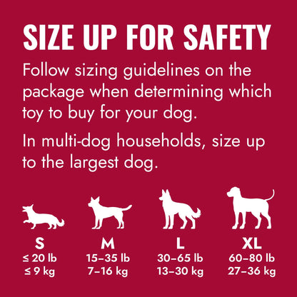 KONG Holiday Goodie Bone Dog Toy - Medium