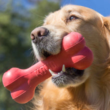 KONG Holiday Goodie Bone Dog Toy - Medium