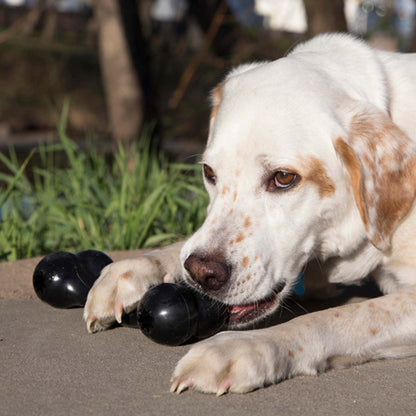 KONG Extreme Goodie Bone