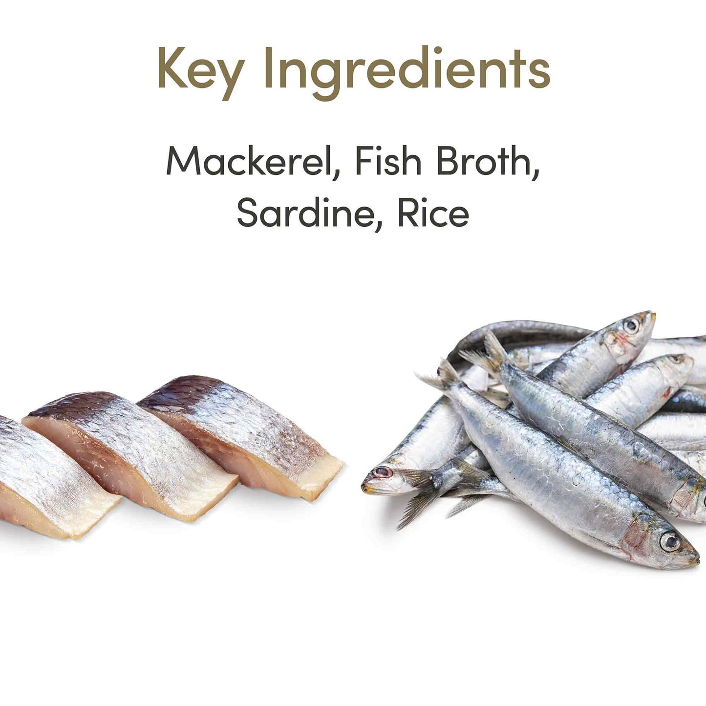 Applaws Adult Wet Cat Food Mackerel with Sardine in Broth - Tins 24x70g