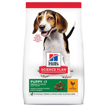 Hills Science Plan Medium Breed Puppy Dry Dog Food - Chicken