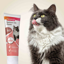 Beaphar Salmon Oil Paste For Cats - 100g