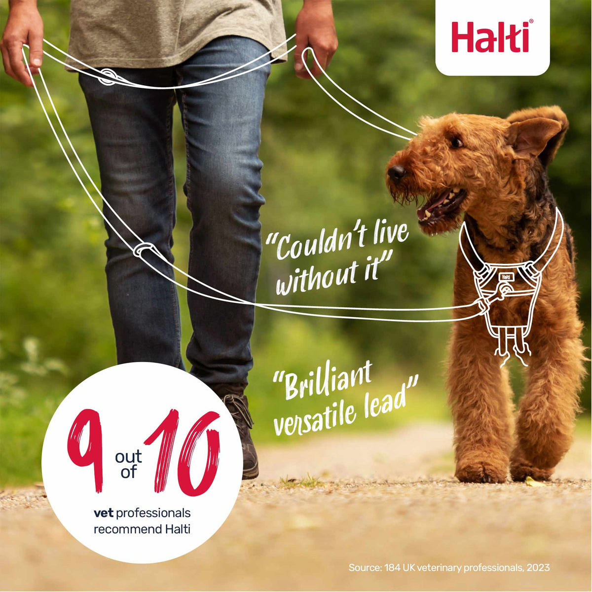 Halti Training Dog Lead - Red