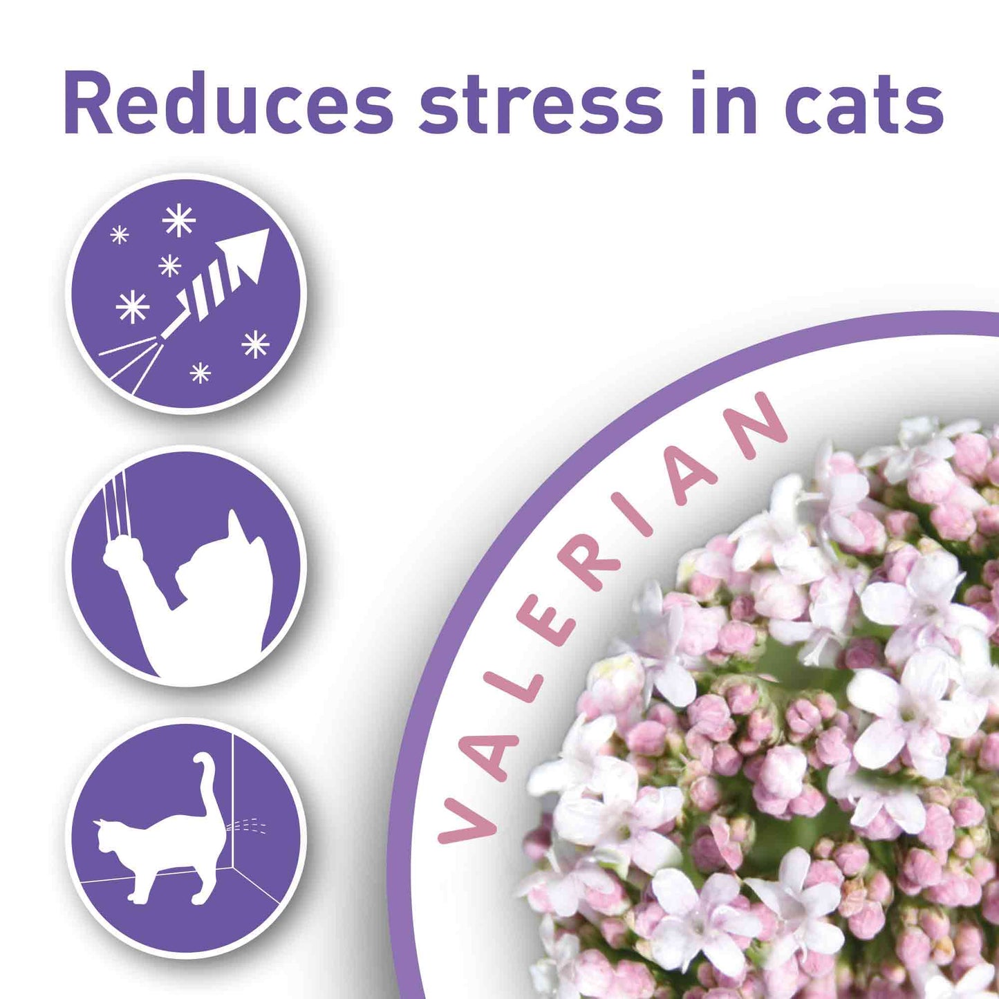 Beaphar Calming Valerian Treats for Cats - 35g