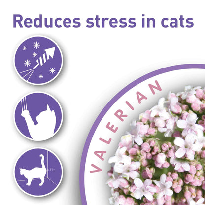 Beaphar Calming Valerian Treats for Cats - 35g
