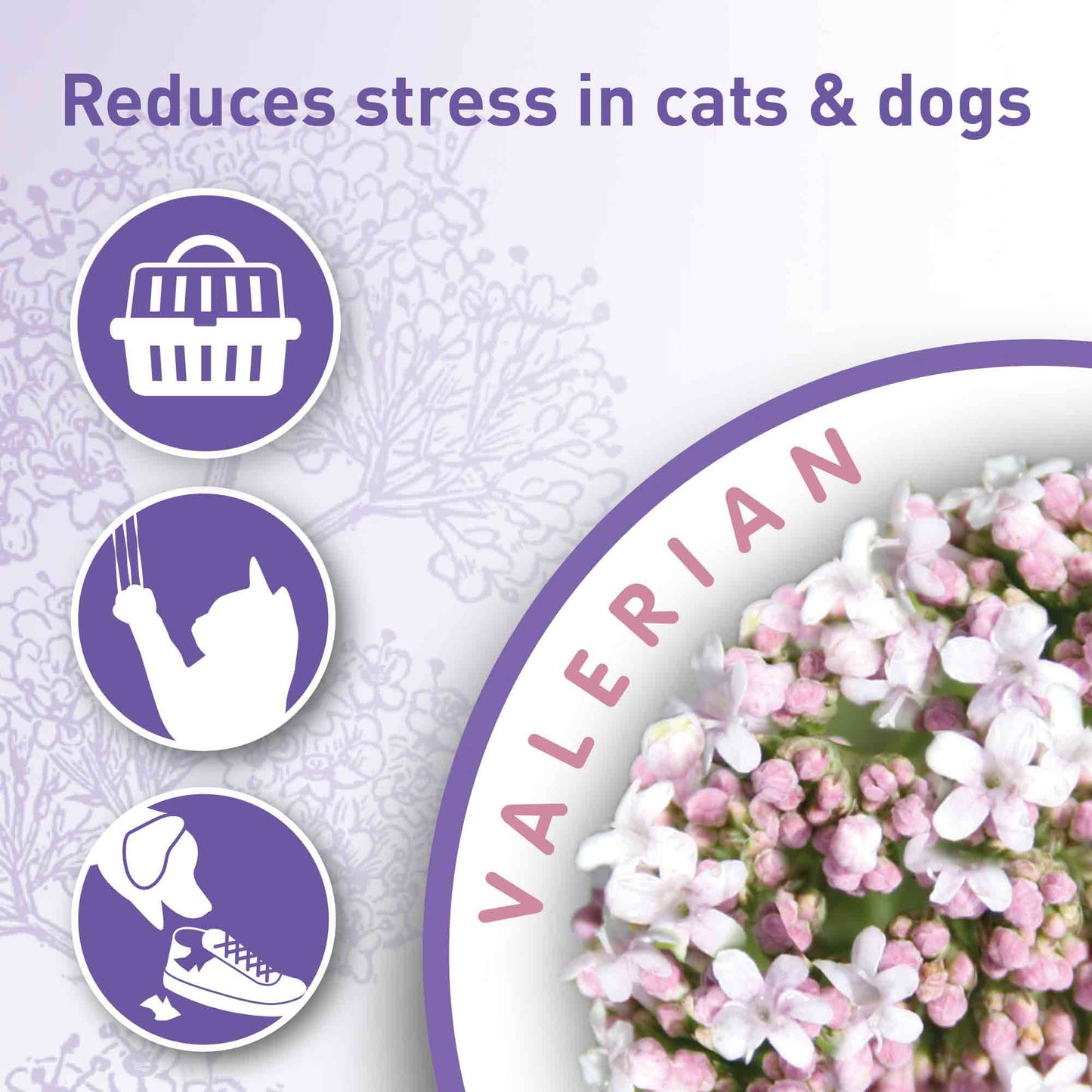 Beaphar Calming Valerian Home Spray - 125ml