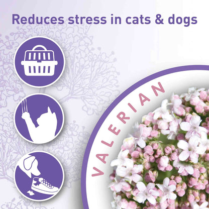 Beaphar Calming Valerian Home Spray - 125ml