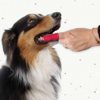 Beaphar Finger Toothbrush for Cats & Dogs