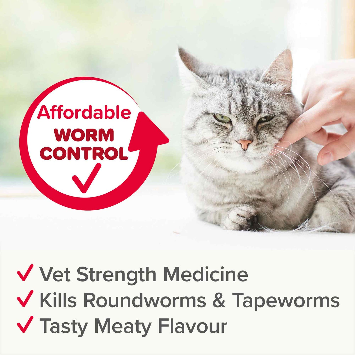 Beaphar WORMclear for Cats - 2 Tablets