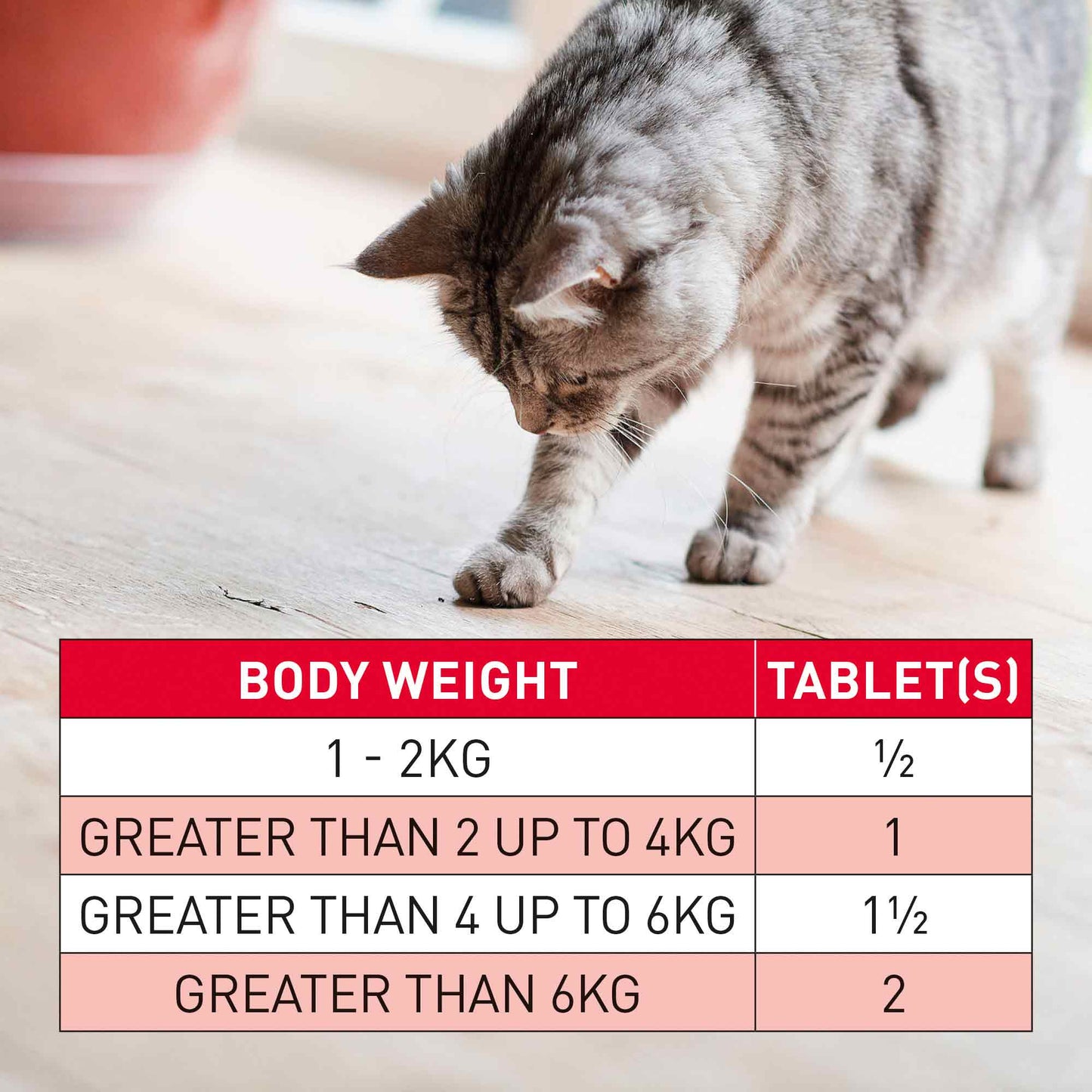 Beaphar WORMclear for Cats - 2 Tablets