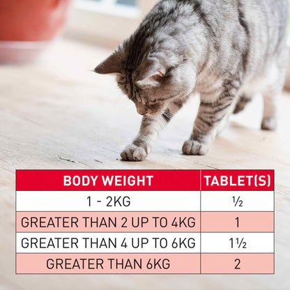 Beaphar WORMclear for Cats - 2 Tablets
