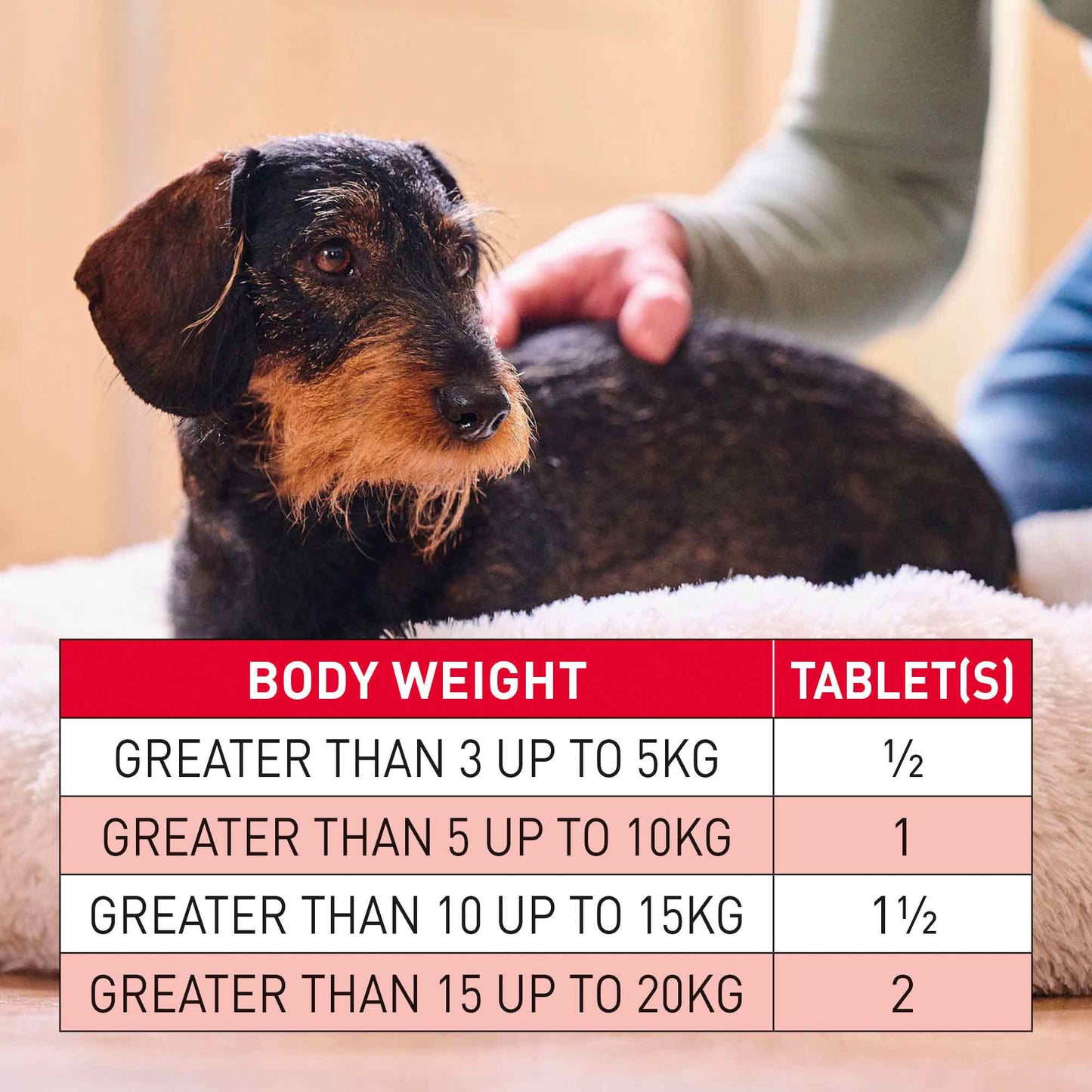 Beaphar WORMclear for Dogs - Small Breed Up to 20kg