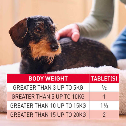 Beaphar WORMclear for Dogs - Small Breed Up to 20kg