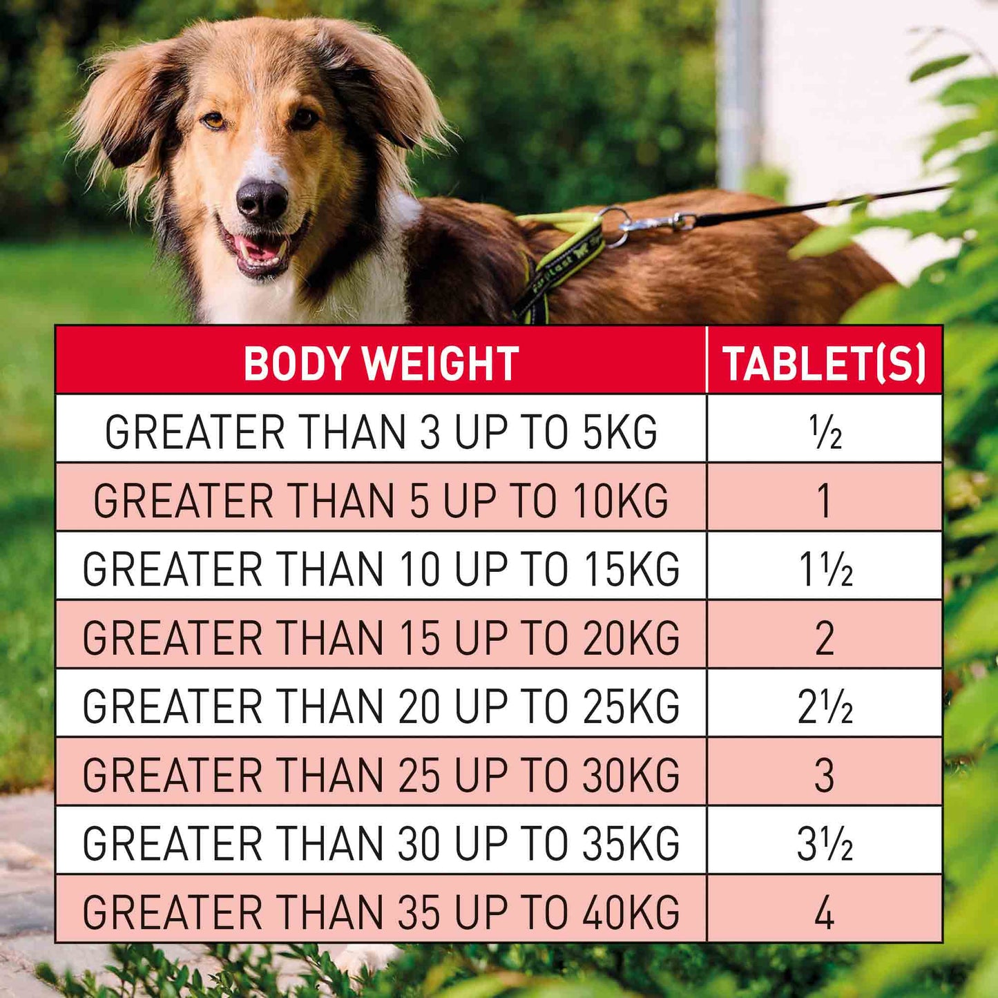 Beaphar WORMclear for Dogs - Up to 40kg