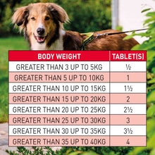 Beaphar WORMclear for Dogs - Up to 40kg