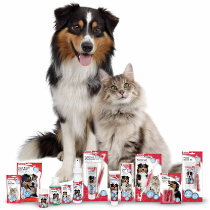 Beaphar Anti-Plaque Dental Powder for Dogs & Cats - 75g