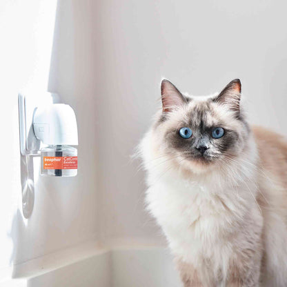 Beaphar CatComfort Excellence Calming Diffuser Starter Kit for Cats