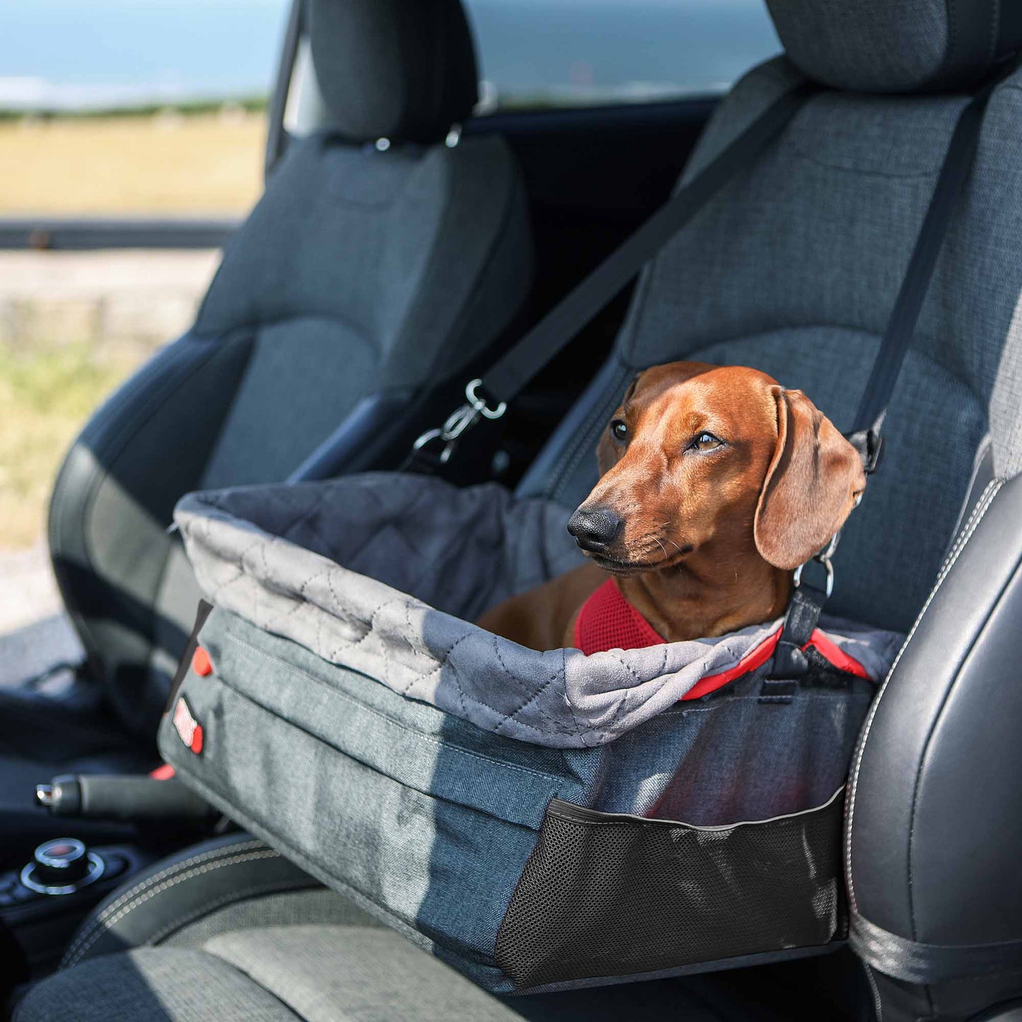 KONG Secure Booster Seat