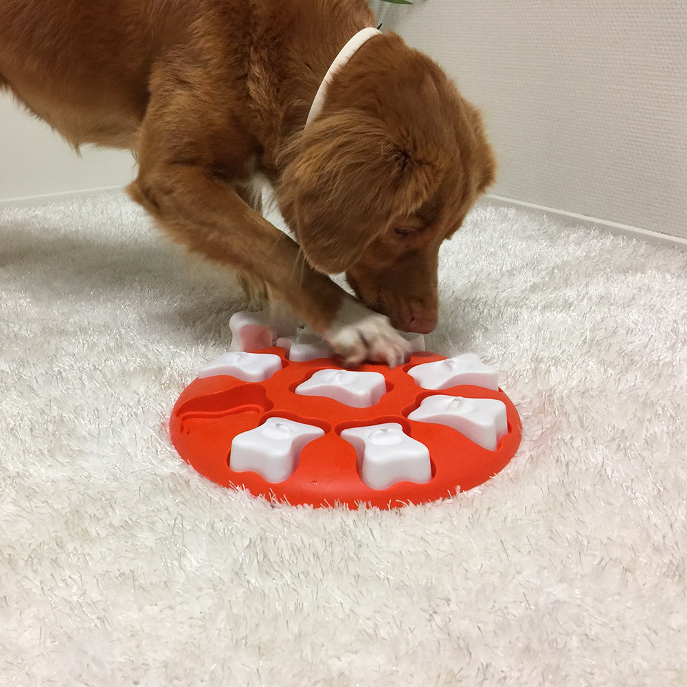 Nina Ottoson Interactive Dog Treat Puzzle - Smart - Orange