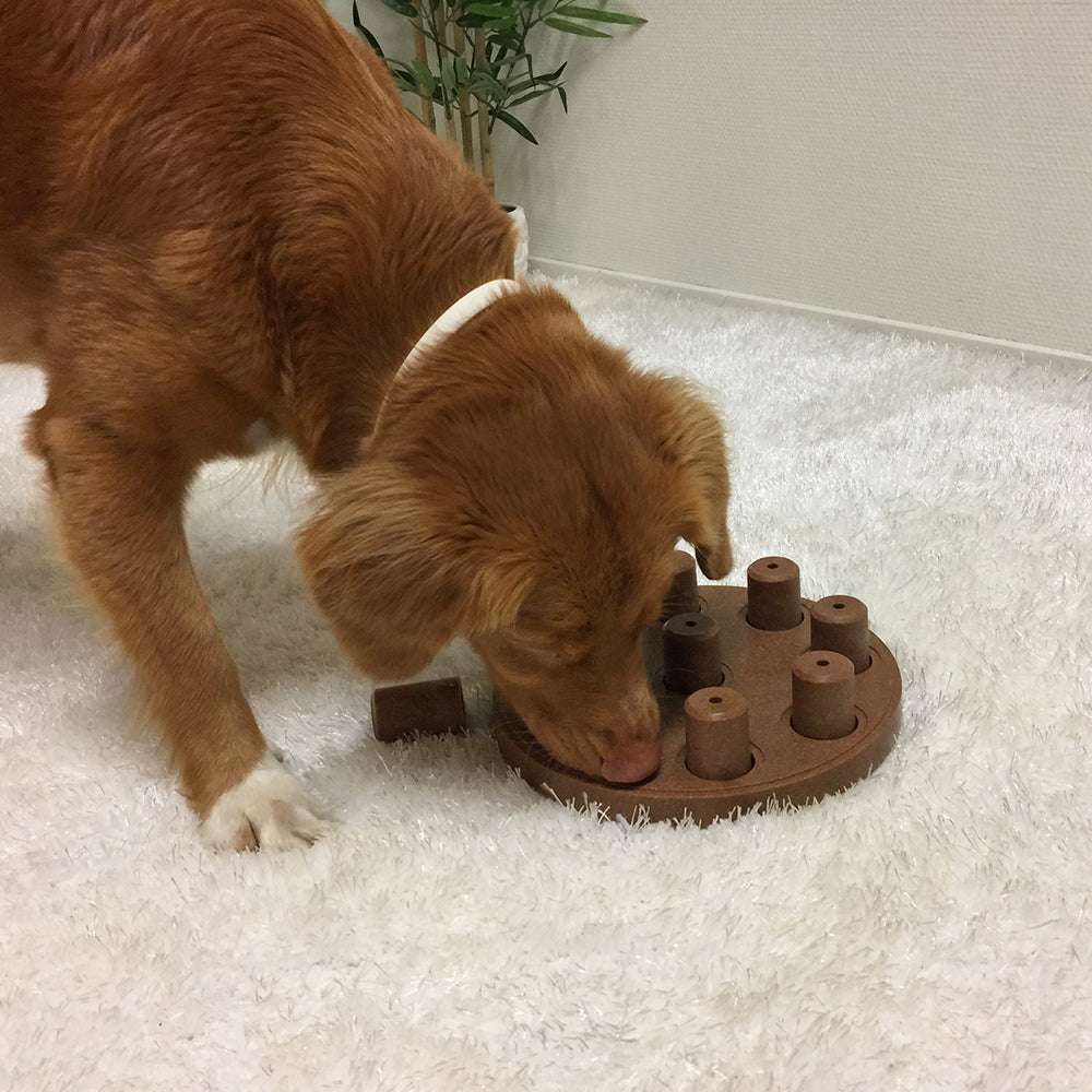 Nina Ottoson Interactive Dog Treat Puzzle - Smart - Composite