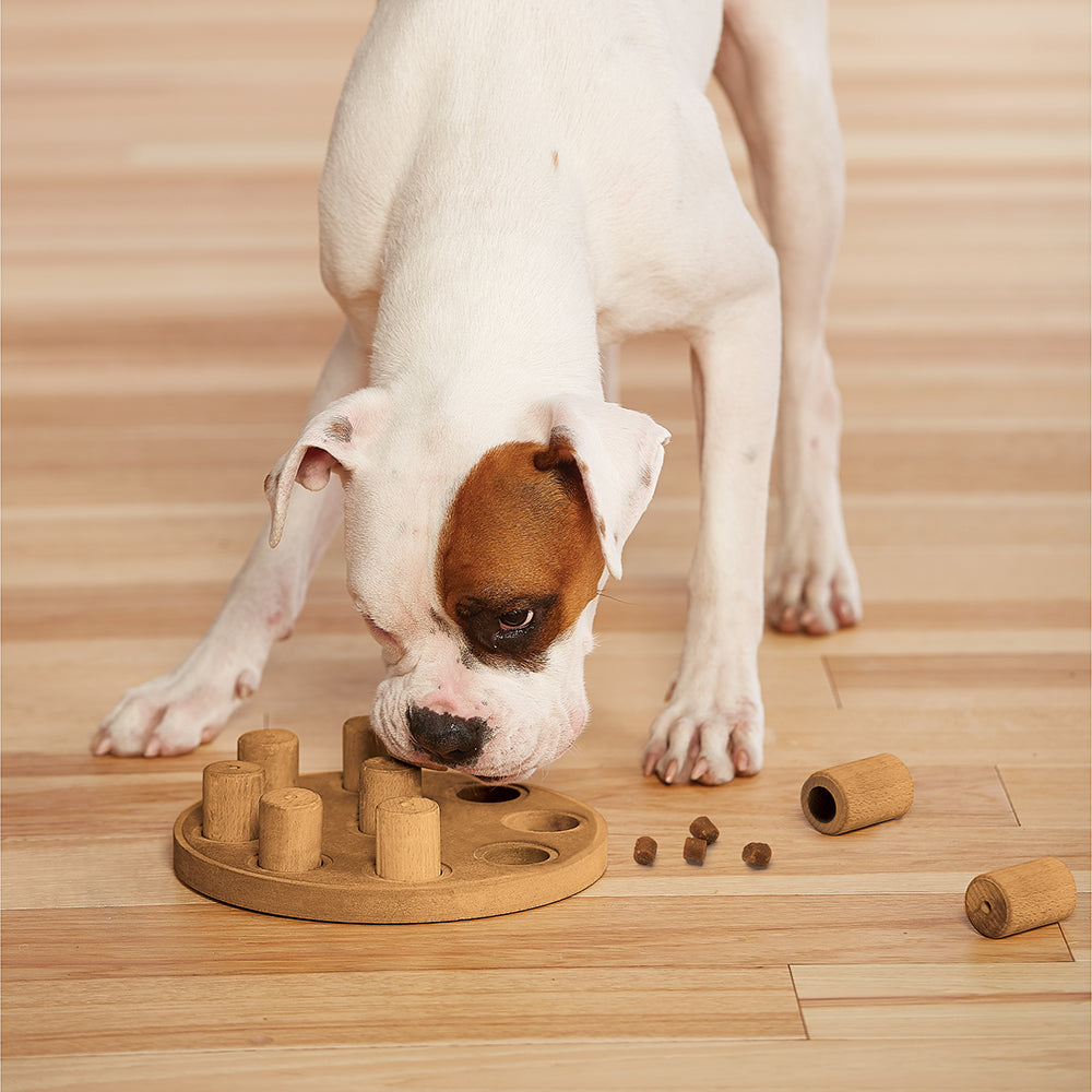 Nina Ottoson Interactive Dog Treat Puzzle - Smart - Composite