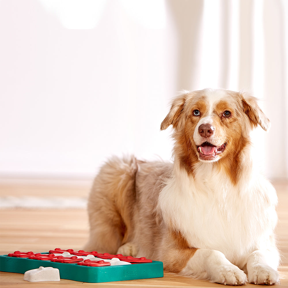 Nina Ottoson Interactive Dog Treat Puzzle - Brick