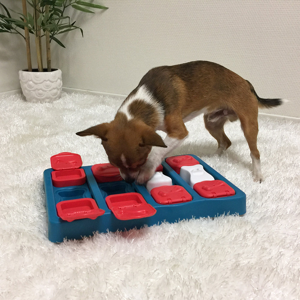 Nina Ottoson Interactive Dog Treat Puzzle - Brick