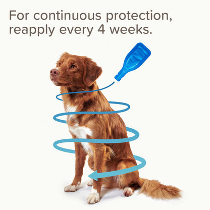 Beaphar FIPROtec Flea & Tick Spot on for Small Dogs - 4 pack