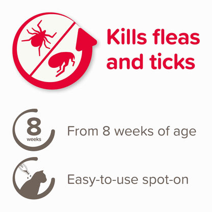 Beaphar FIPROtec Flea & Tick Spot On for Cats - 4 pack