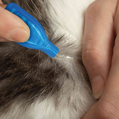 Beaphar FIPROtec Flea & Tick Spot On for Cats - 4 pack