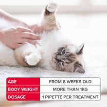 Beaphar FIPROtec Flea & Tick Spot On for Cats - 4 pack
