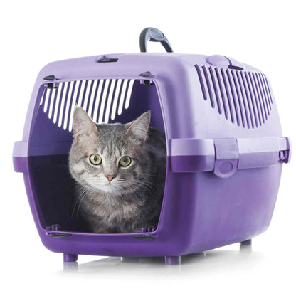 Beaphar CatComfort Calming Spray for Cats - 30ml