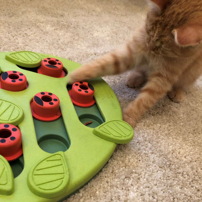 Nina Ottoson Interactive Cat Treat Puzzle & Play - Buggin Out