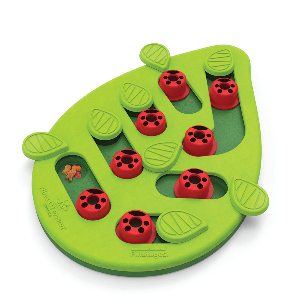 Nina Ottoson Interactive Cat Treat Puzzle & Play - Buggin Out
