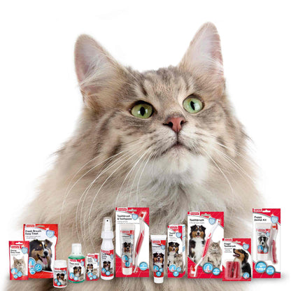 Beaphar Dental Easy Treat for Cats - 35g