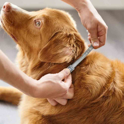Beaphar CaniComfort Calming Collar for Adult Dogs