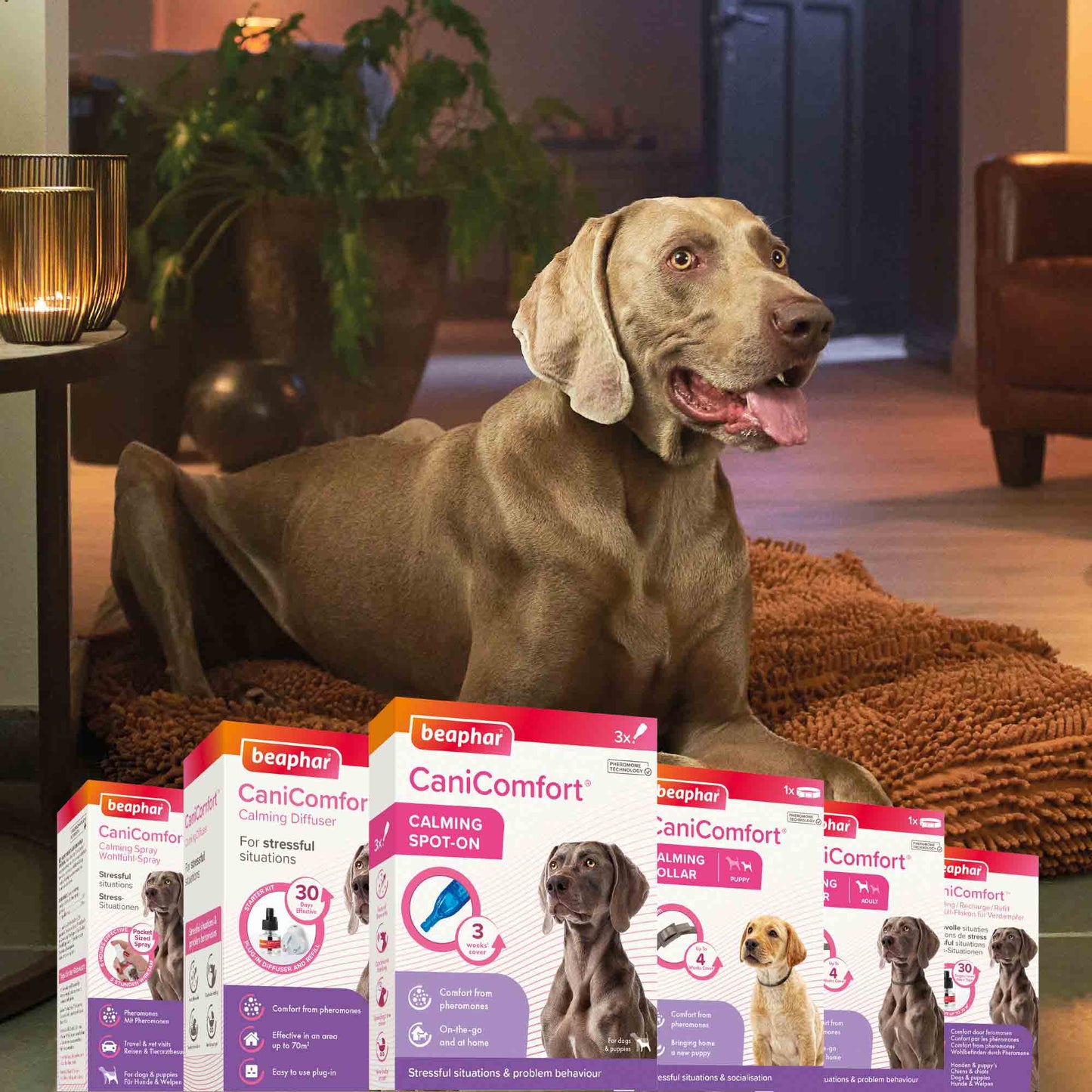 Beaphar CaniComfort Calming Spot-On for Dogs