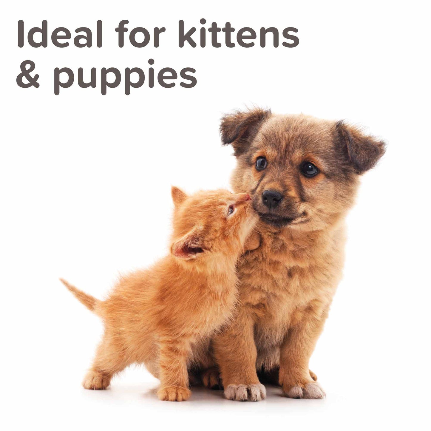 Beaphar Pet Behave Training Spray