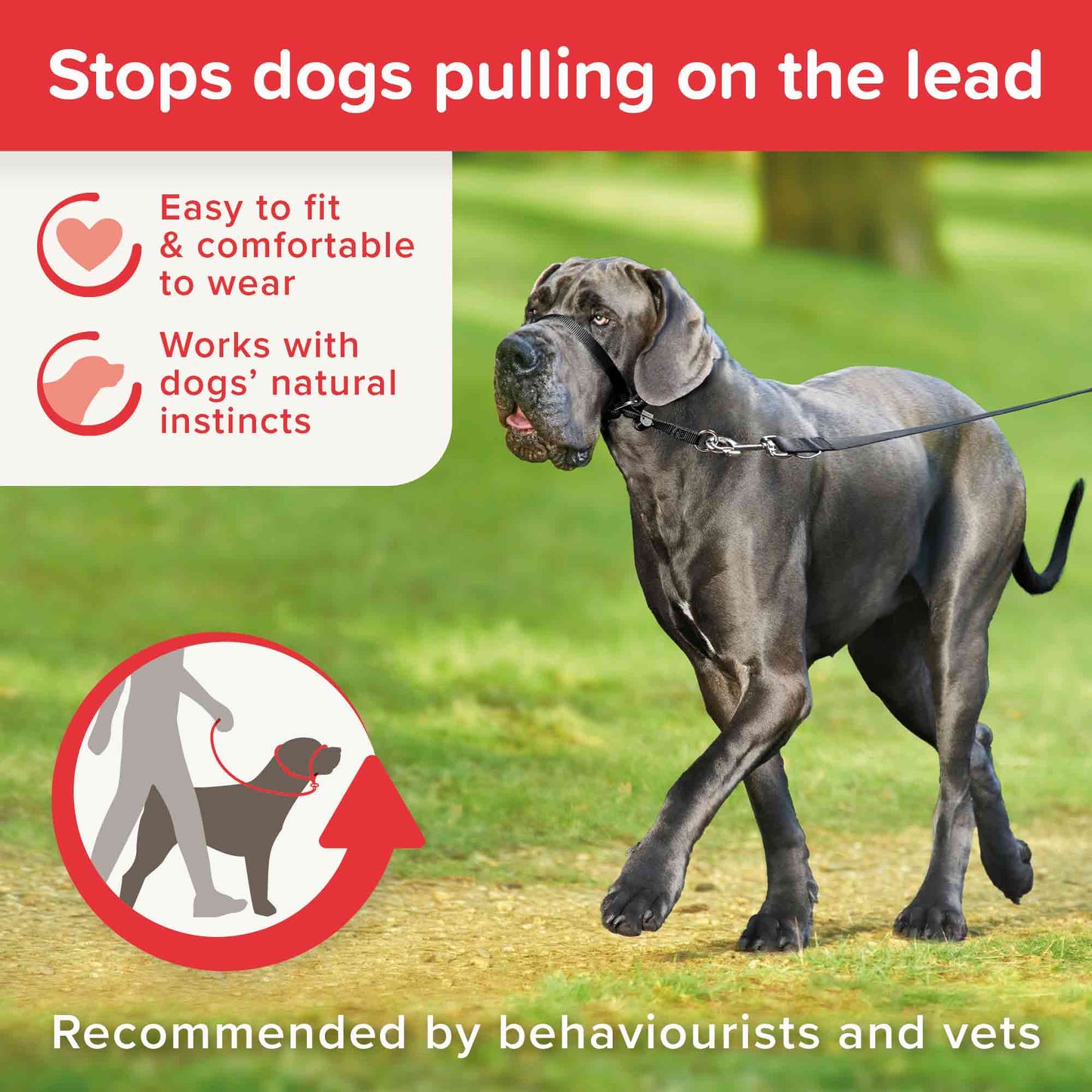 Beaphar Gentle Leader - Large