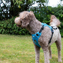 Viva Exercise & Travel Dog Harness - Blue