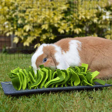 Rosewood Snuffle Forage Mat for Small Animals
