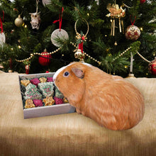 Rosewood Naturals Festive Cookies Forage Treat Tray for Small Animals