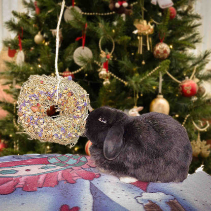 Rosewood Naturals Winter Flower 'n Hay Wreath Hanging Treat for Small Animals