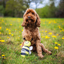Rosewood Bee Flingerz Dog Throw Toy